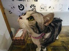-小时光咖啡馆(开森度假森林店)