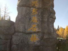 景点-汤旺河林海奇石景区