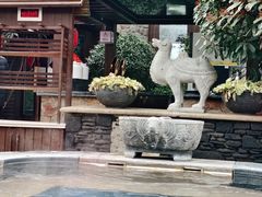 -芭东小镇温泉