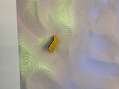 -苏州青少年科技馆