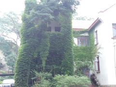 android_upload_pic-八大关景区
