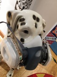 -英刺青 纹身 洗纹身