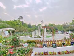-南山植物园