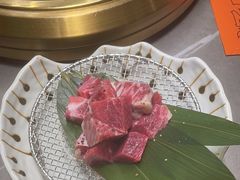 -杨小佳·齐齐哈尔烤肉·烤串(广州店)