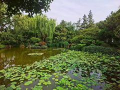 -秋霞圃