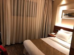 -麦新格精品酒店(上海浦东机场川沙迪士尼店)