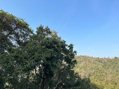 -野象谷景区