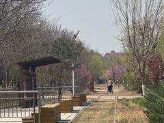 -武清南湖绿博园