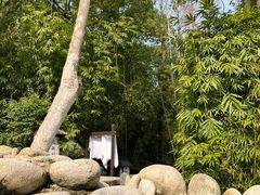 -三江森林温泉度假区