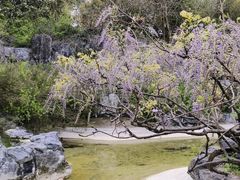 -上海吴淞炮台湾国家湿地公园