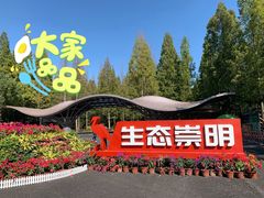 -东平国家森林公园