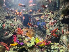 -太平洋海底世界