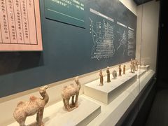 -隋唐大运河文化博物馆