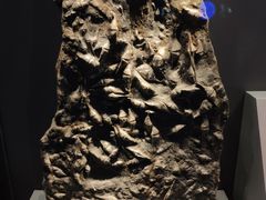 -贝林大翅鲸简餐厅(国家海洋博物馆店)