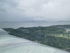 -深圳湾木棉花酒店
