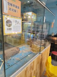 -神奇动物撸宠馆·羊驼·小浣熊·异宠(豫园店)