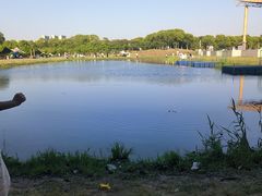 -滆湖低碳生态公园
