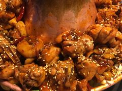 -刘记光大火锅鸡(北行店)