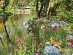 -上海共青森林公园