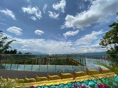 -西双版纳原始森林公园