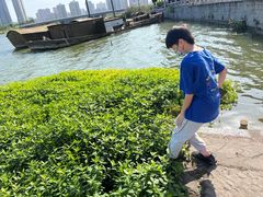 -大小河街