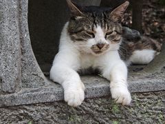 -狼山风景名胜区