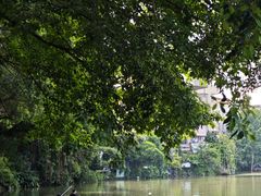 -小洲村