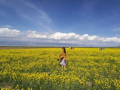 -青海湖国家重点风景名胜区
