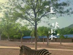 -石家庄市动物园