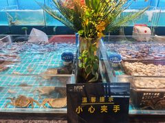 -九月海·海鲜自助(世纪东方店)