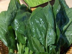 -东道煮牛肉火锅(东盛大街店)