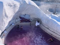 -清河半岛温泉度假酒店