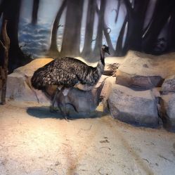 -酷嗒动物文化乐园(cutezoo西溪乐天城店)