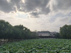 -莲池书院博物馆