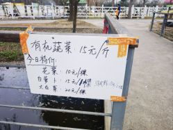 -前小桔亲子创意农场·草莓采摘·露营烧烤