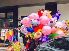 -溪岸路花鸟市场