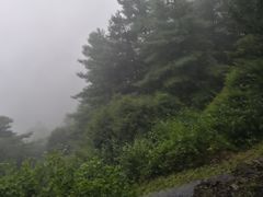 -苍山感通索道