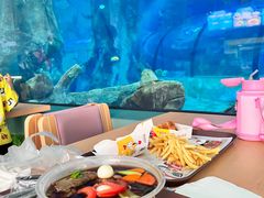 -福州罗源湾海洋世界旅游区