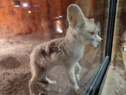 点击看大图 -酷嗒动物文化乐园(cutezoo西溪乐天城店)