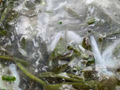 -美味之家·湖景农家乐(太湖东山店)