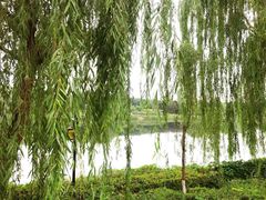 -西安汉城湖景区