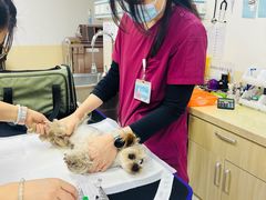 -美联众合动物医院·24h转诊中心