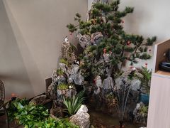 -尚帝·洛阳菜(八號院店)