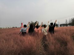 -羊亭河湿地公园