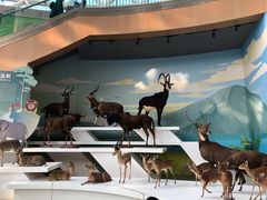 -陕西自然博物馆