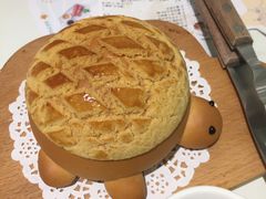 -一盒小幸运