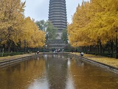 -玲珑塔公园