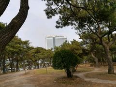 -海云台海滩