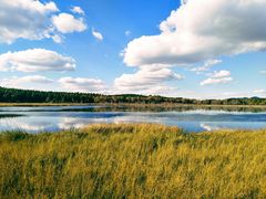 -塞罕坝国家级自然保护区
