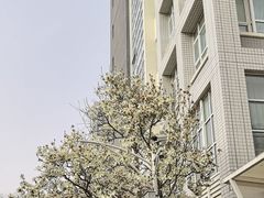 -中国石油大学（北京）(北京西校区)